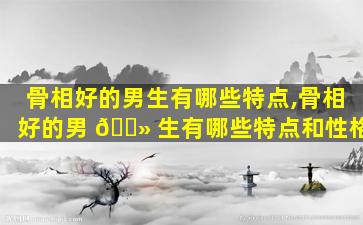 骨相好的男生有哪些特点,骨相好的男 🌻 生有哪些特点和性格